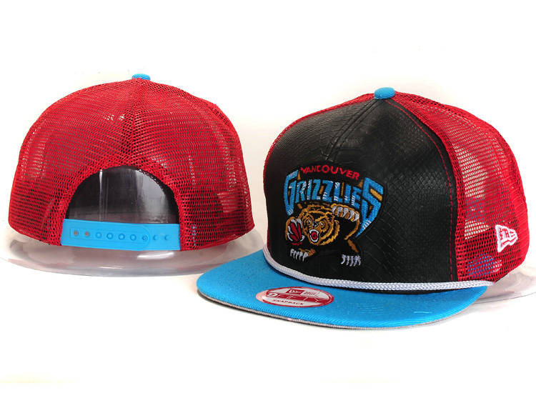 Memphis Grizzlies Mesh Snapback Hat YS